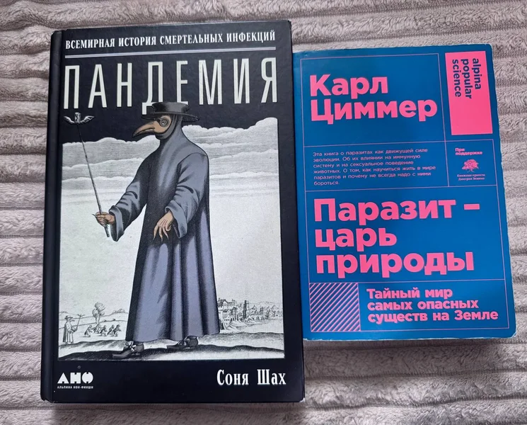 Пандемия. Соня Шах