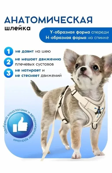 Анатомическая шлейка для собак/кошек размера S