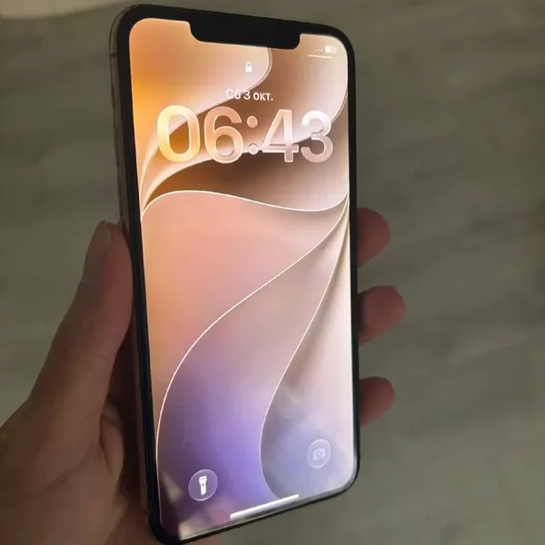 iPhone 11 Pro Max 256GB