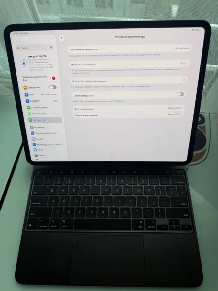 iPad Pro 13 M4 256 eSIM