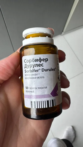 Сорбифер Дурулес