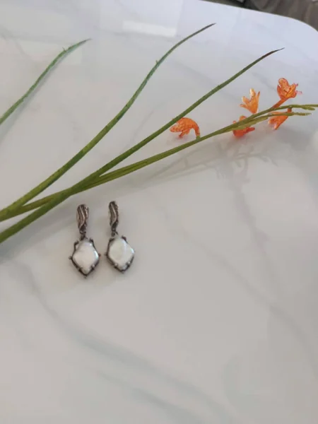 Серебрянные