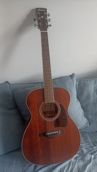 Акустическая гитара Ibanez Artwood Open Pore с чехлом