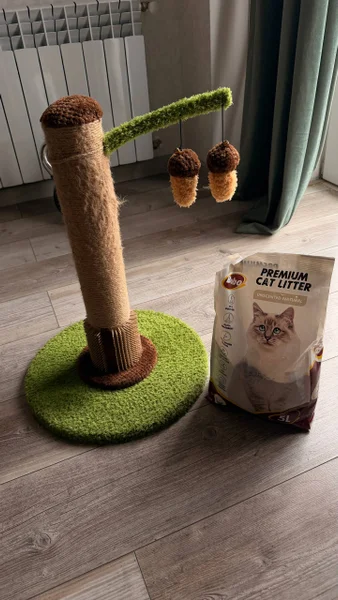 Кошачий набор