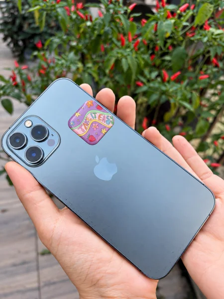 iPhone 12 Pro Max 256 GB