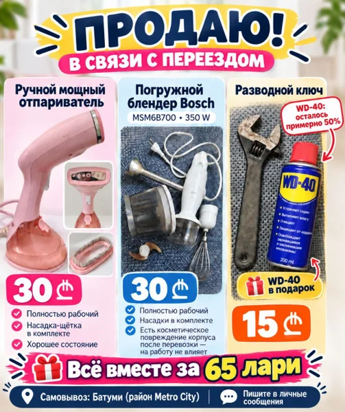 Погружной блендер Bosch и ручной отпариватель