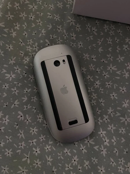 Apple Magic Mouse