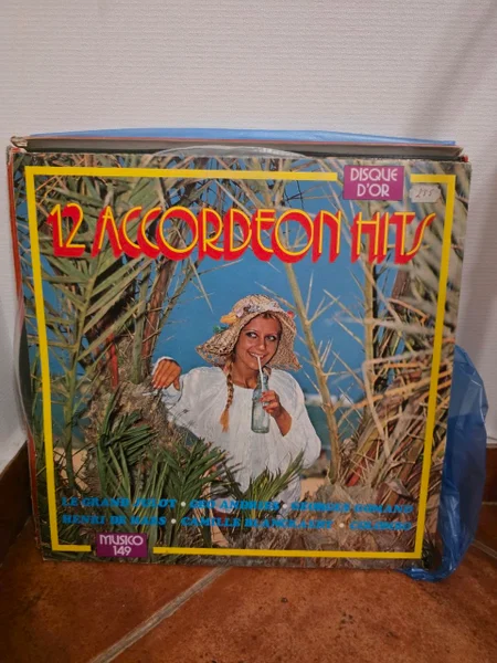 12 Accordeon Hits