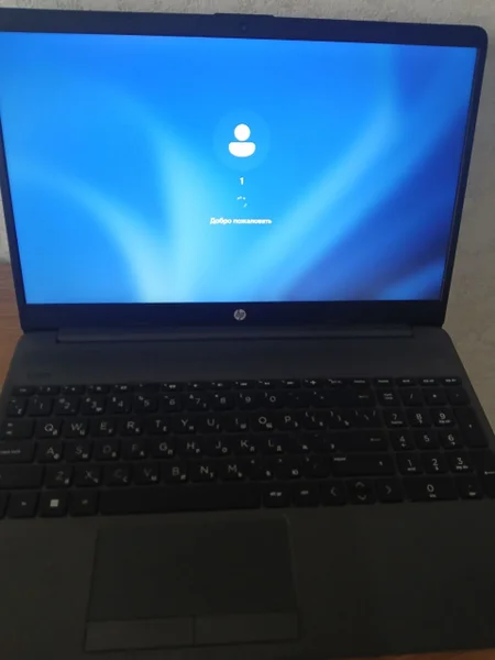 HP 255 G8 -