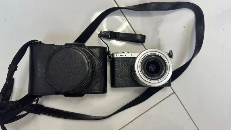 Фотоаппарат Panasonic Lumix DMC-GM1