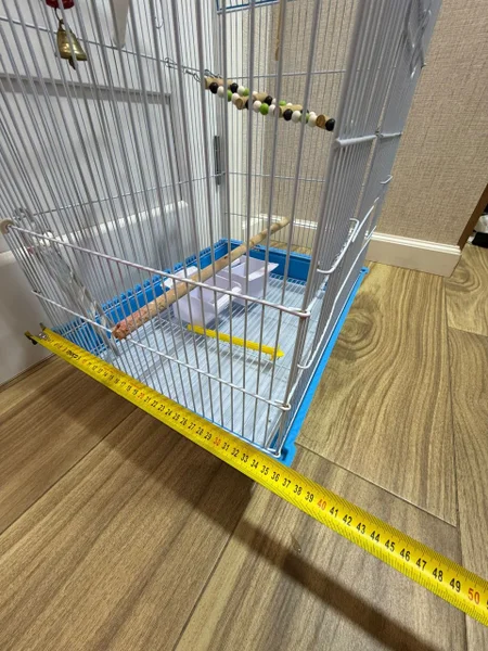 клетку для попугая. Размеры указаны на фото. В комплекте поилка, кормушка, лесинка.