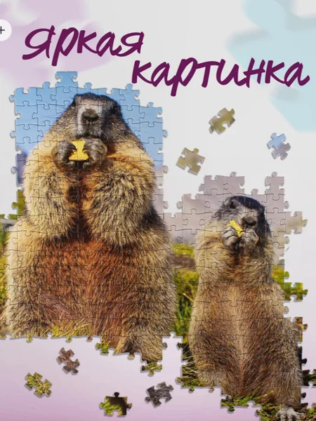 Пазл Step Puzzle с сурками 500 деталей