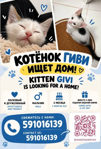 Котенок Гиви, 2 месяца