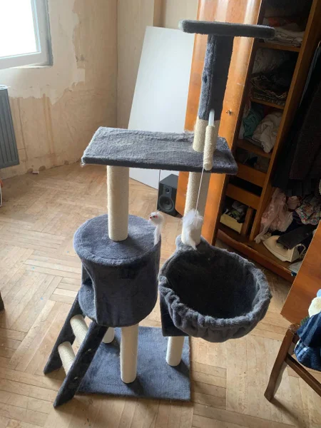 Большой кошкин дом