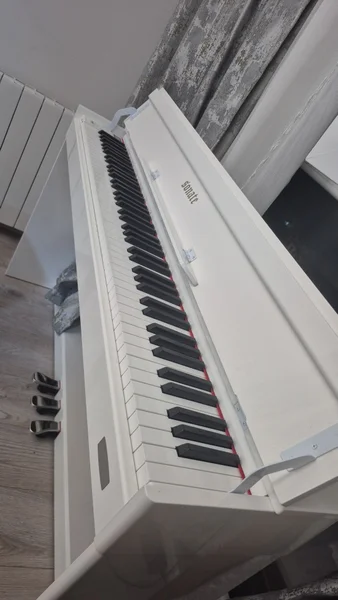 Фортепиано Sonate — accordion, upright, grand piano