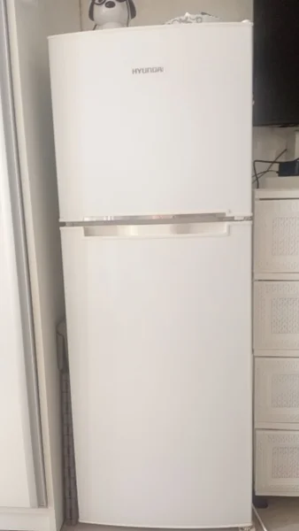 Холодильник — refrigerator