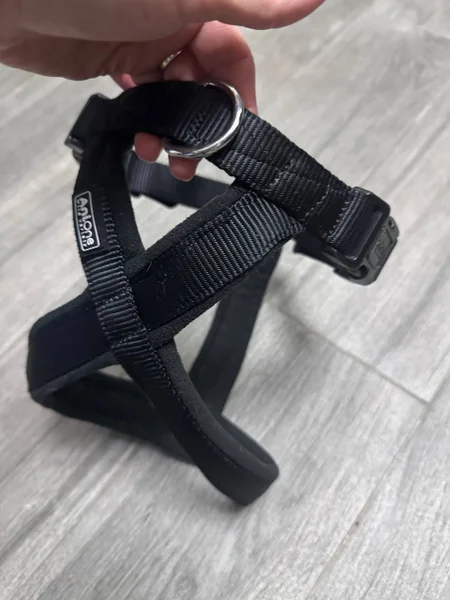 Маленький ошейник — sandal, barbell