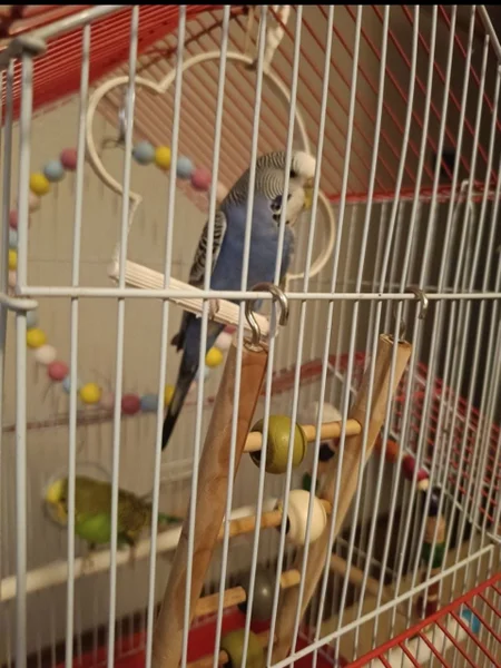 Двое — prison