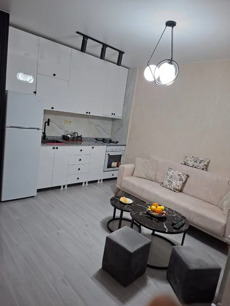 1-комнатная квартира, 47 м² — studio couch