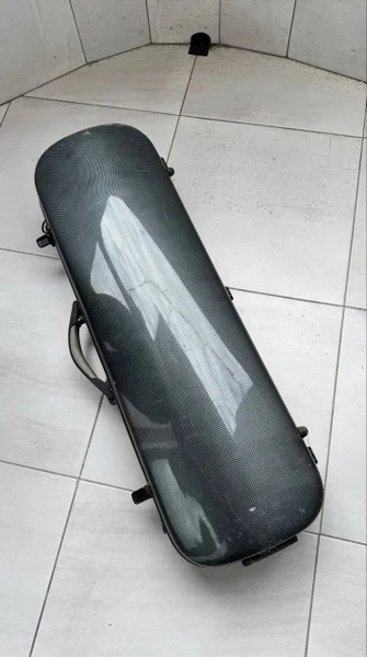 2 чехла на скрипку — seat belt, vacuum