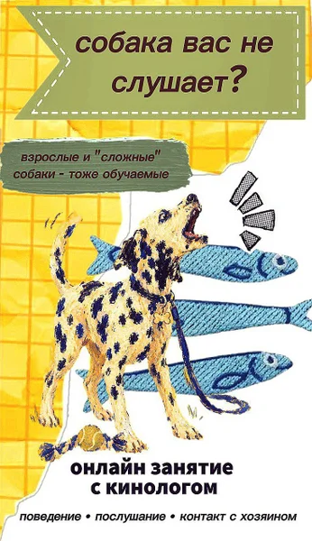 Онлайн-курс по воспитанию и дрессировке собак — dalmatian