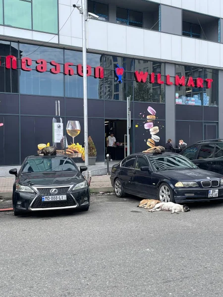 Кошки — sports car