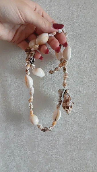 Бусы из ракушек — necklace, chain