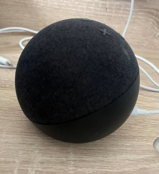 Умная колонка Amazon Alexa — puck, ping-pong ball, croquet ball