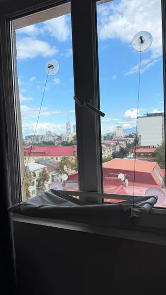 Гамак для кота 55 см — window screen