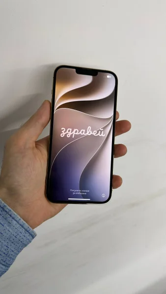 iPhone 13 Pro Max 256GB — mouse