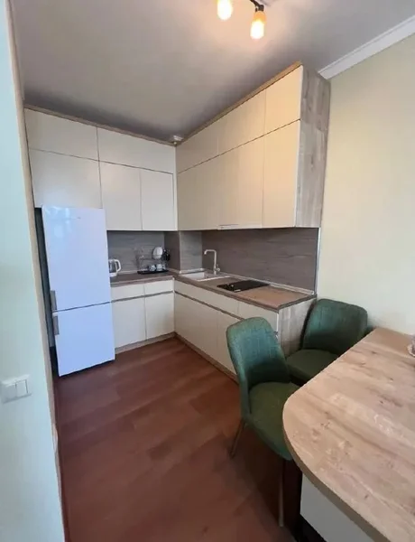 Квартира 1+1, 50 м² — shoji, home theater, wardrobe