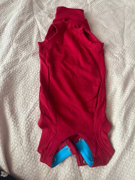 Боди для кота или мелких пород собак — velvet, Christmas stocking