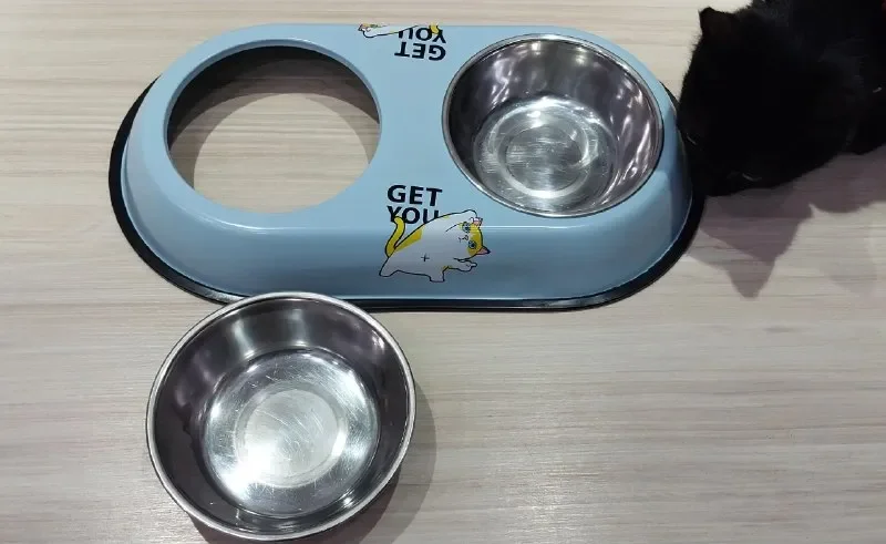 Набор кошачьих мисок из нержавейки — mixing bowl, spotlight, measuring cup