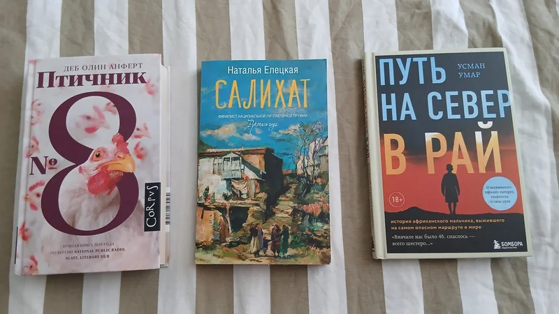 Набор книг: Птичник, Салихат и Путь на север в рай — comic book, book jacket