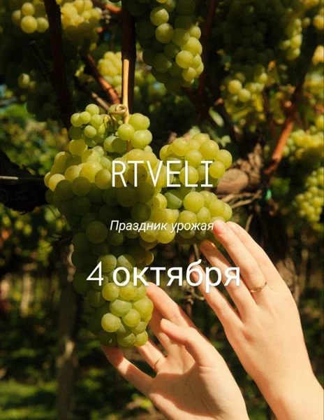 Женский тур: Ртвели в Горной Аджарии — Granny Smith, tennis ball, jackfruit