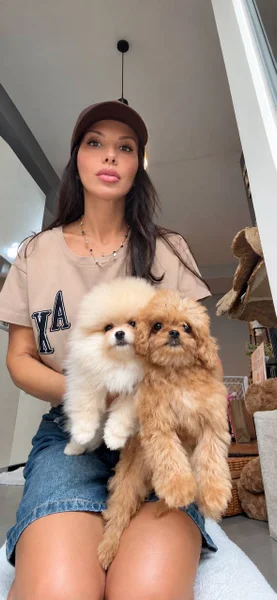 Щенки Мальтипу, Той-пудель, Померанский шпиц, Чихуахуа — Pekinese, Pomeranian
