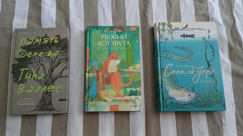 Набор книг: Память дерева, Рыжий кот Фута, Сага об угре — book jacket