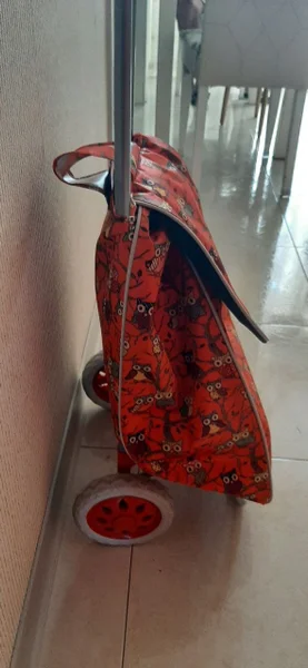 Сумка на колёсиках — sarong, backpack