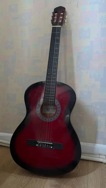 Классическая гитара Gonzales 38 с чехлом — acoustic guitar