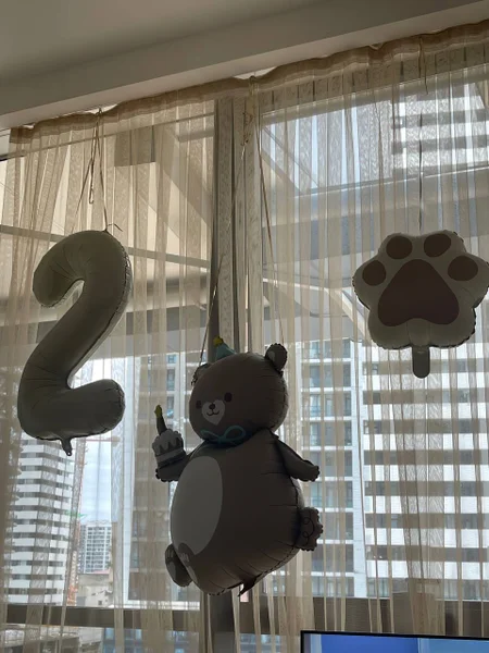 Шарики 3 шт (2 года, медведь и лапка) — window screen, window shade