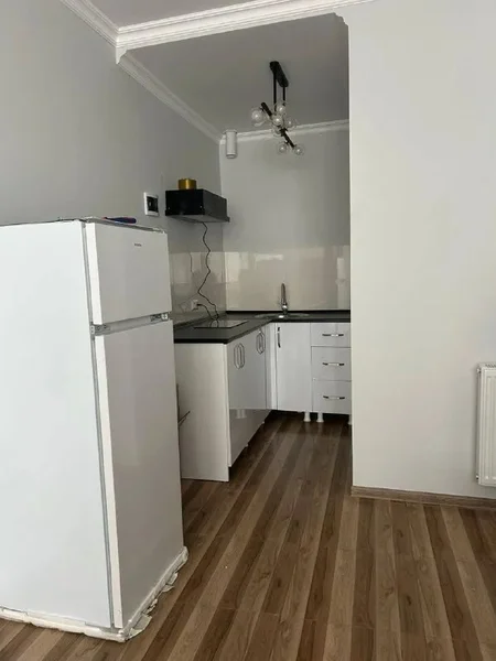 Просторная студия — photocopier, microwave, refrigerator
