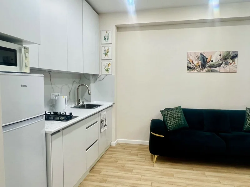 Квартира 1+1, 50 кв.м, ул. Абусеридзе 21, Arcon — microwave, studio couch