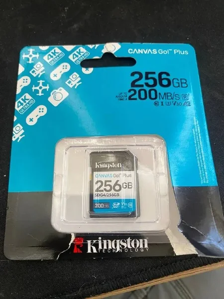 SD карта Kingston Canvas Go! Plus 256GB