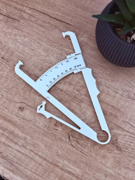 Калипер для измерения процента жира — hook, scabbard, rule