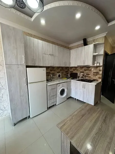 Студия, ул. Инасаридзе, 16а — microwave, washer