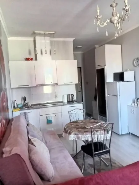 Уютная студия — medicine chest, microwave, refrigerator