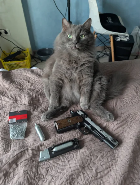 Пневматический пистолет Colt Special Combat CO2 — Persian cat, lynx