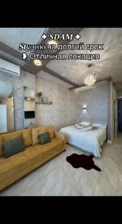 Студийный диван — studio couch
