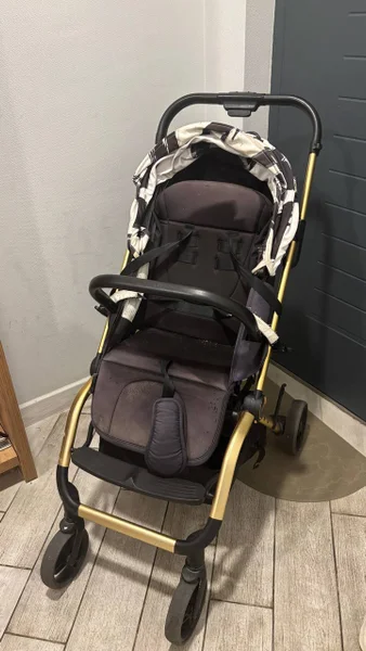 Коляска Chipolino — backpack, stretcher