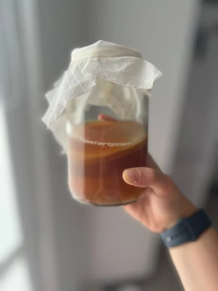 Чайный гриб — beaker